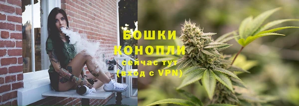 МДПВ Каменногорск