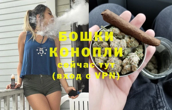 МДПВ Каменногорск
