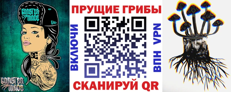 Купить  Вольск  Галлюциногенные грибы Psilocybe 